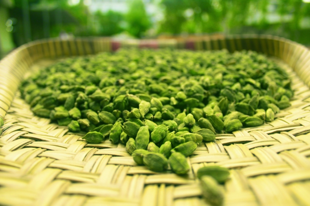 Cardamom
